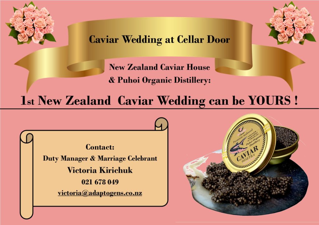 Book-caviar-private-boutique-wedding-event-in-auckland-new-zealand