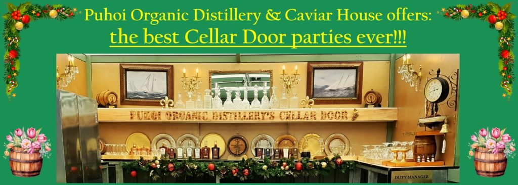 top-venue-in-auckland-for-2024-christmas-corporate-parties-and-events-at-cellar-door