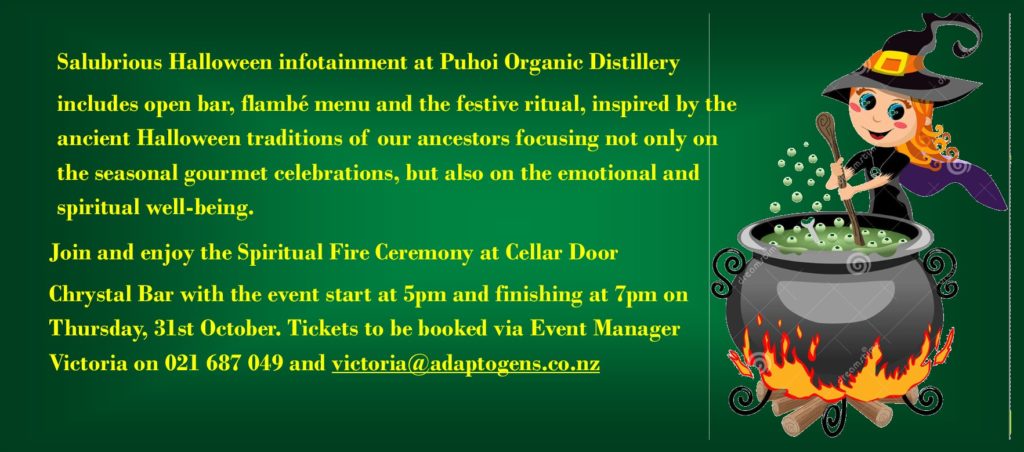 auckland_halloween_2024_cellar_door_celebration_at_puhoi_organic_distillery_open_bar_with_fire_ceremony_ritual